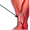 blood veins on leg5